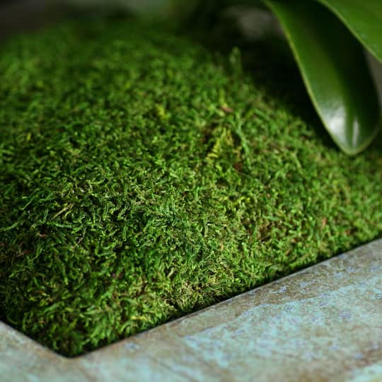 SuperMoss® Dried Sheet Moss Michaels